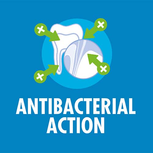 Antibacterial action